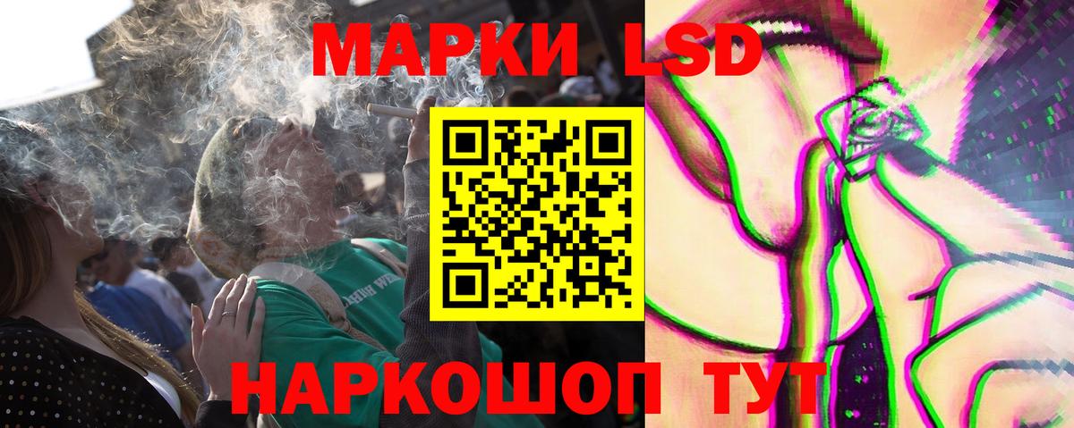 Альфа ПВП Казань