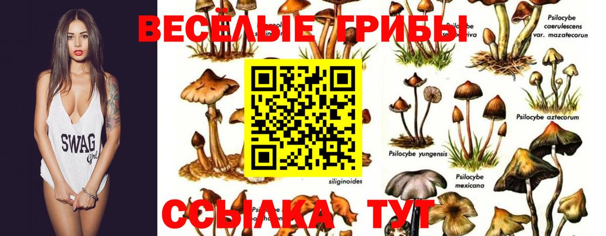Псилоцибиновые грибы мухоморы  Вход с VPN  Казань 
